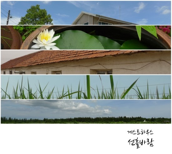 선흘바람 이미지