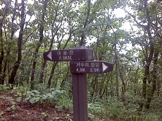 금대골 이미지