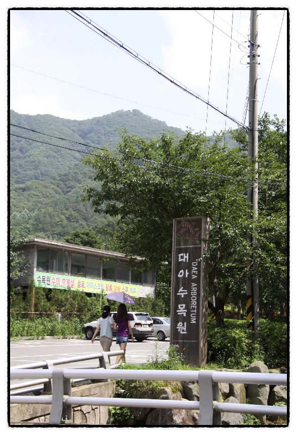 수목 비교 관찰원 이미지