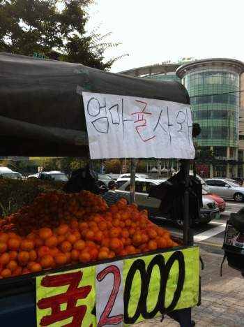 사와 이미지