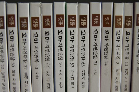 예서드림 이미지