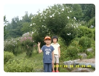 남산꽃화원 이미지
