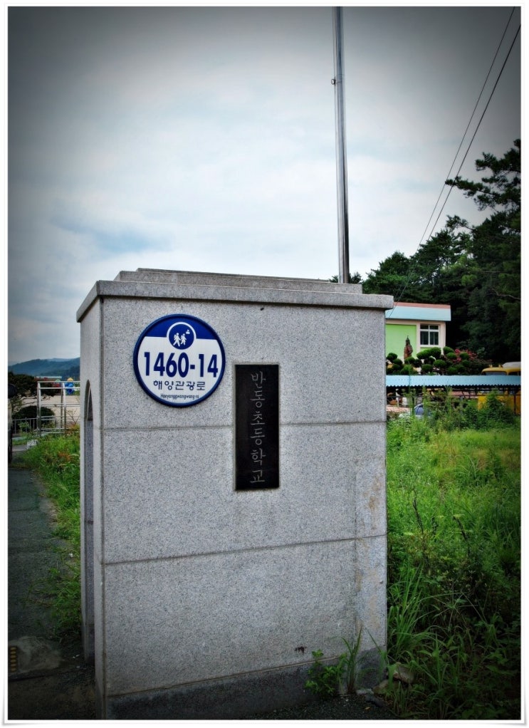 반동초등학교 이미지