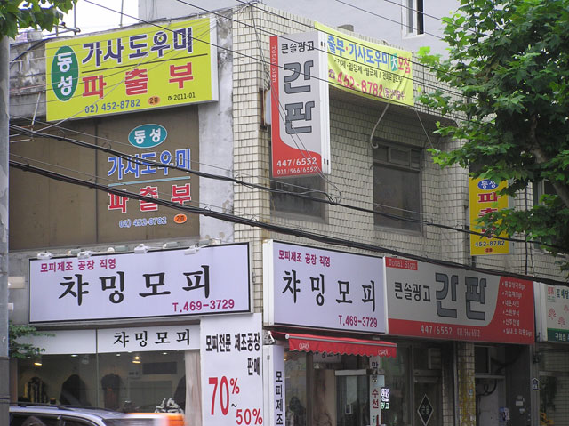 동성인력 이미지
