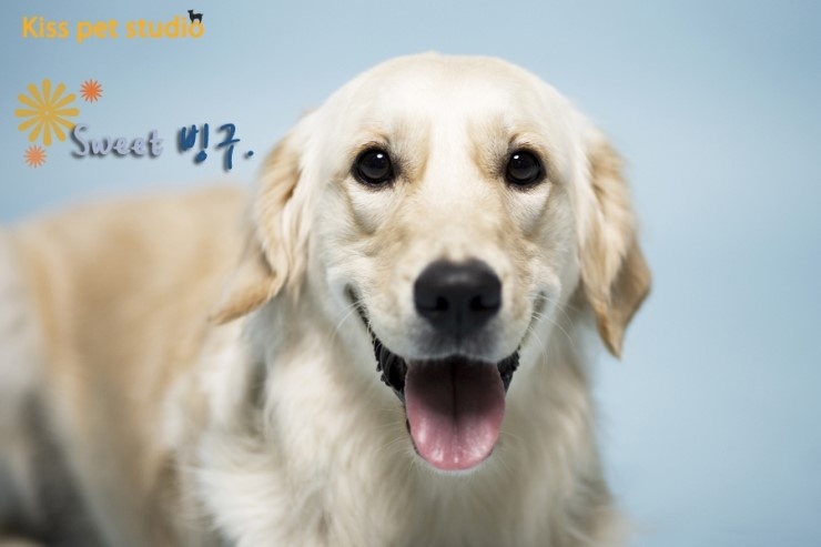 스튜디오키스 이미지