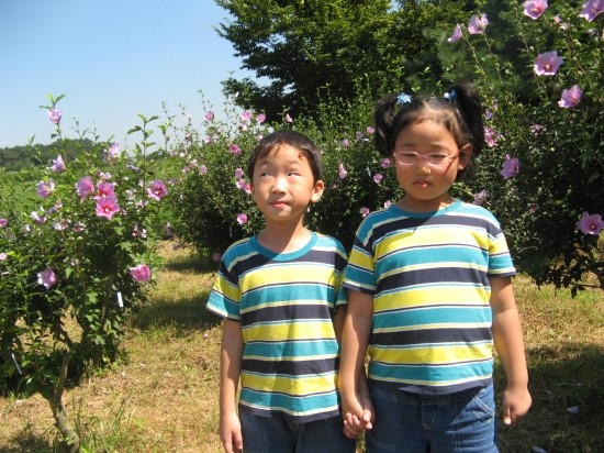 녹지관리사업소 이미지