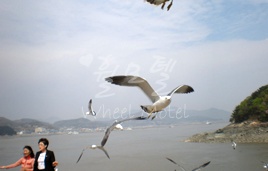 휠모텔 이미지
