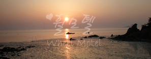 휠모텔 이미지