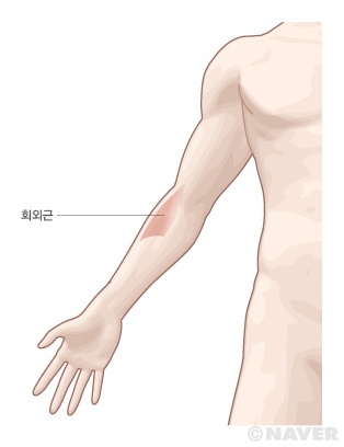 위네이션 이미지