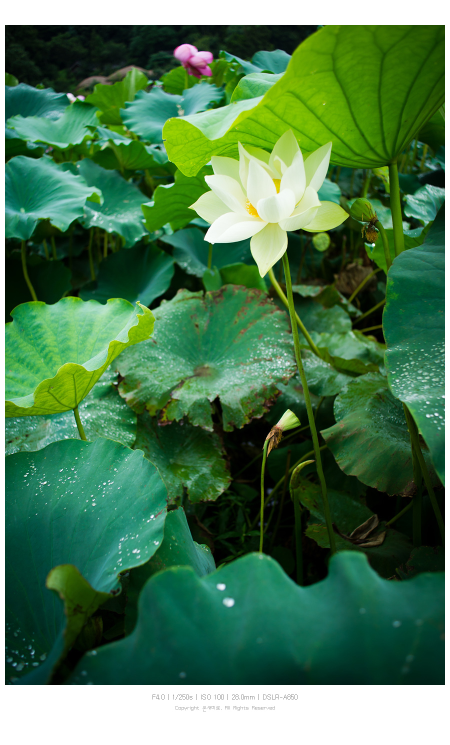 경주;머물다3 이미지