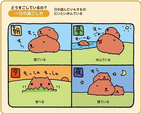바라 이미지