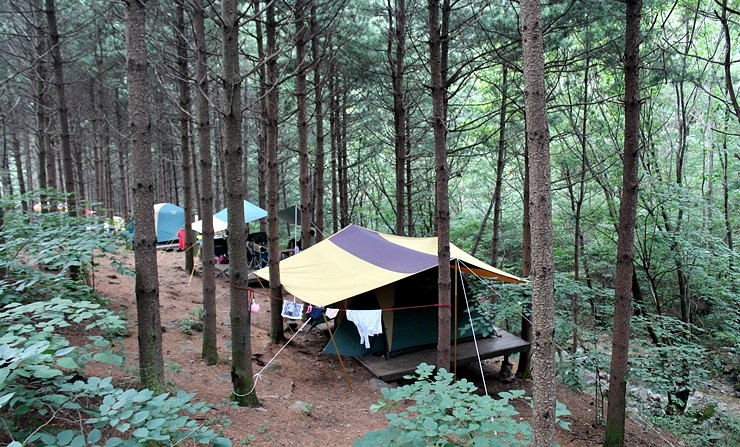산음 자연휴양림 2 : 산음 자연휴양림의 제2 야영장, 산책로, 숲속의 집, 연립동 [경기 양평] : 네이버 블로그