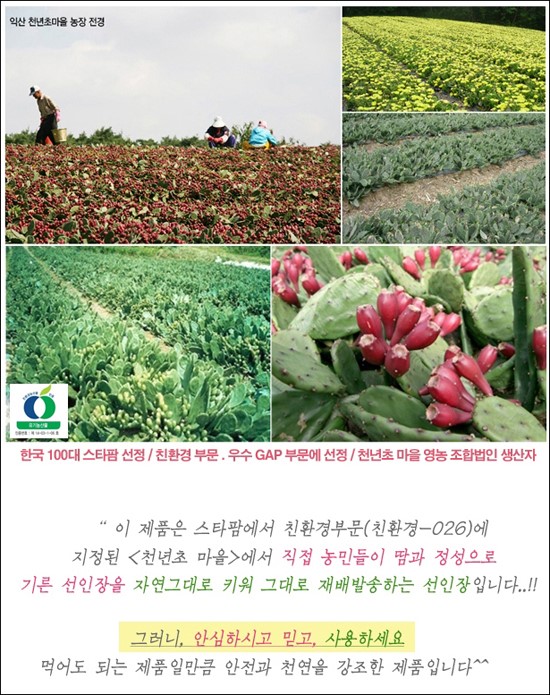 아이팩 이미지