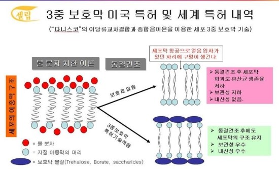 (주)메리클 이미지