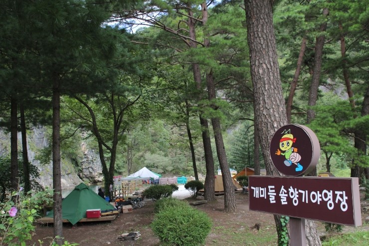 개미들솔향기야영장 이미지