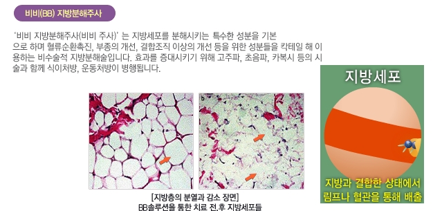 어육만만 이미지