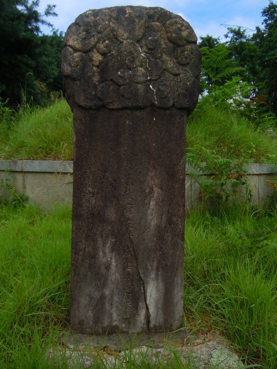 김당 이미지