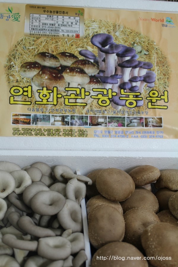 연화농원 이미지