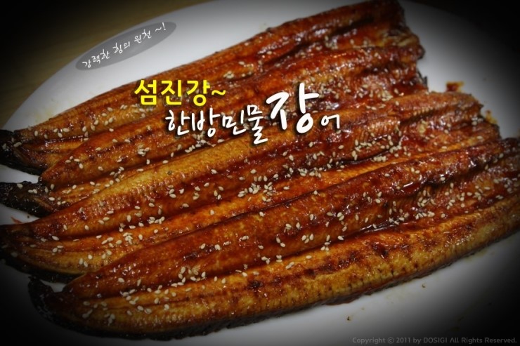 섬진강민물장어 이미지