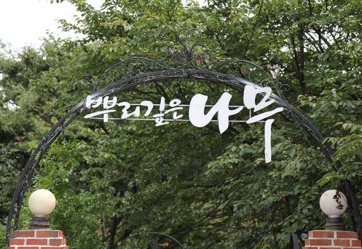뿌리깊은손 이미지