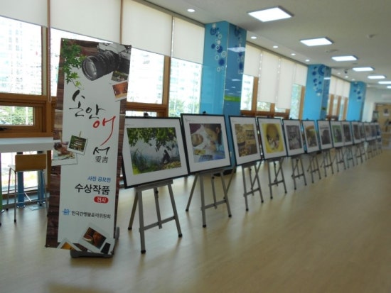 마루2011 이미지