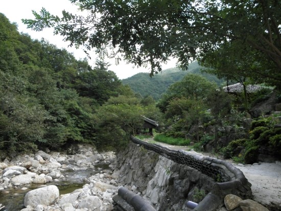 들꽃산방 이미지