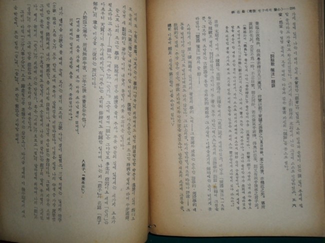 신태양사 이미지