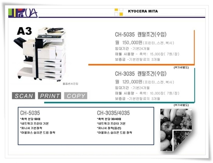 디프로오에이 이미지