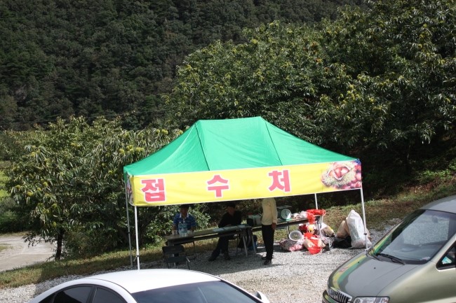 봉황자연휴양림 이미지