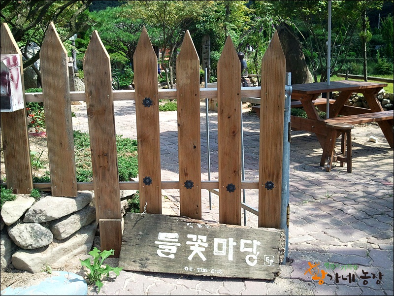 들꽃칼국수 이미지