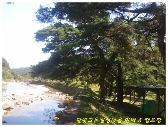 월성민박 이미지