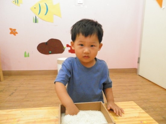 서진악기 이미지