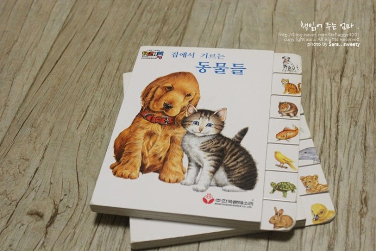 (주)한국몬테소리 이미지