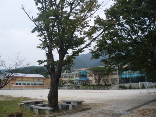 운길산유기농마을 이미지