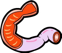 선항외과 이미지