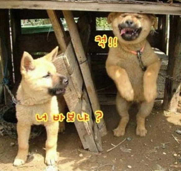 스카이독서실 이미지