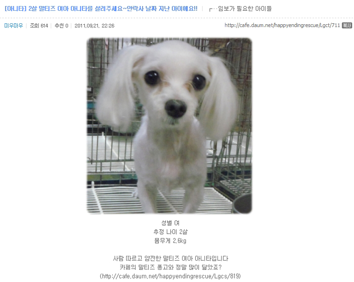 마르티스 이미지