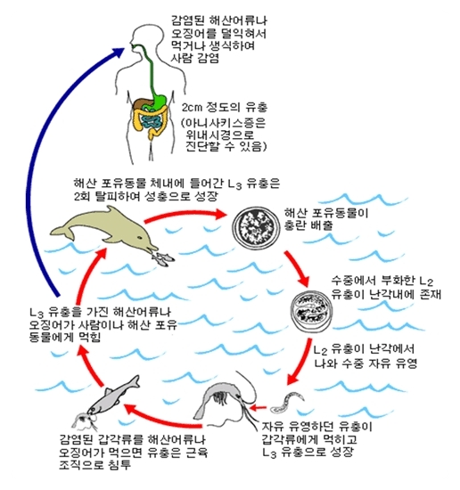 고래뜰 이미지