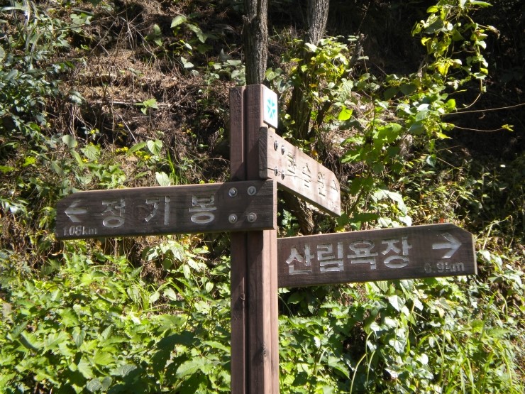 서대산주유소 이미지