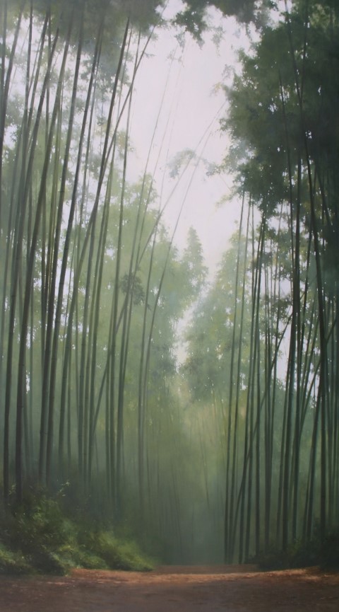 빛바람 이미지