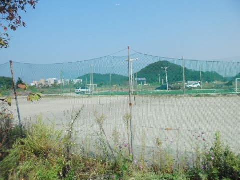솔밭정 이미지
