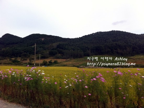 할매집젓갈 이미지