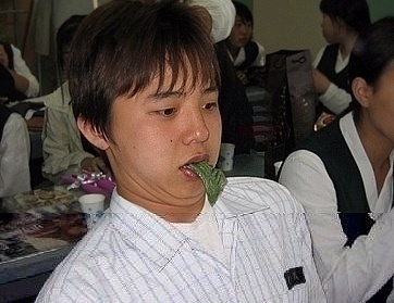 까까보까 이미지
