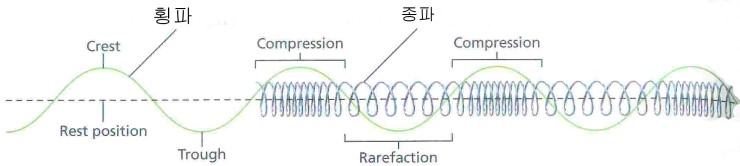 [파동]파동의 발생 특징, 진동과 파동, 횡파와 종파, 파장, 진동수, 진폭 : 네이버 블로그