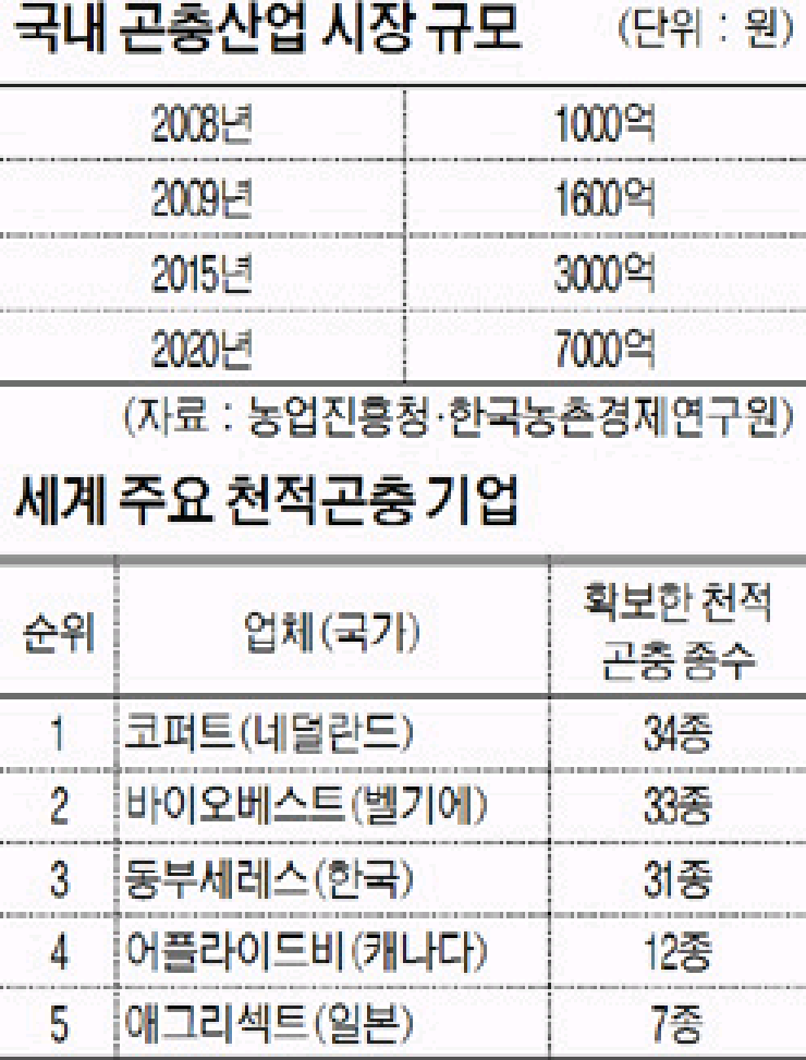 동부인력개발 이미지