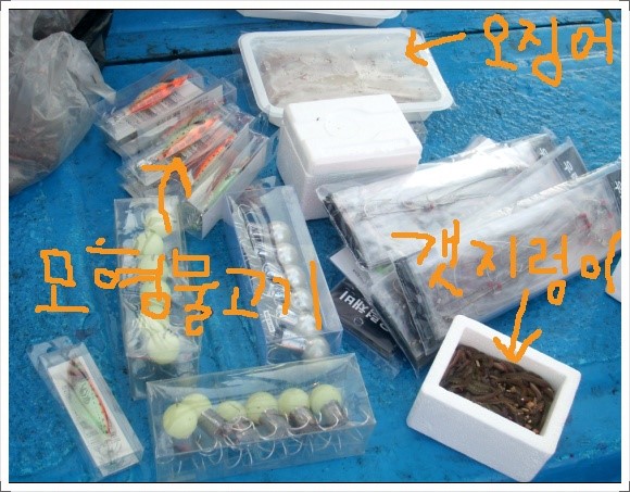 바다쭈꾸미 이미지
