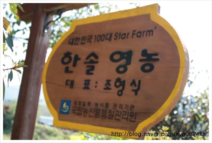 솔영농 이미지