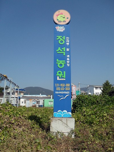 정석농원 이미지