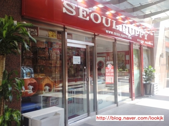 경희베네치아한의원 이미지