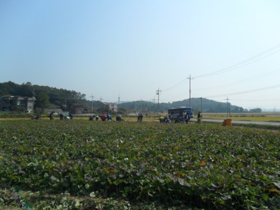 서울강신중학교 이미지